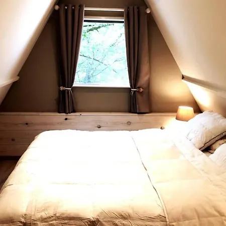 Tipi D'amis